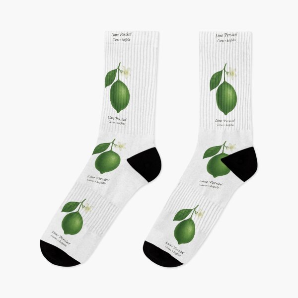 Item preview, Lime ‘Persian’ – Seedless Green Citrus Variety designed and sold by BloomKind.
