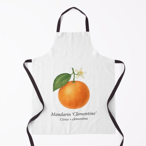 Item preview, Mandarin ‘Clementine’ – Citrus × clementina designed and sold by BloomKind.