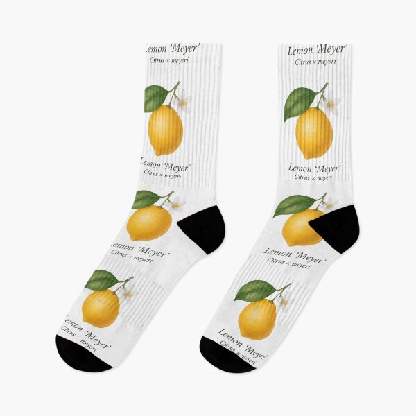 Item preview, Lemon ‘Meyer’ – Soft Floral Citrus Variety designed and sold by BloomKind.