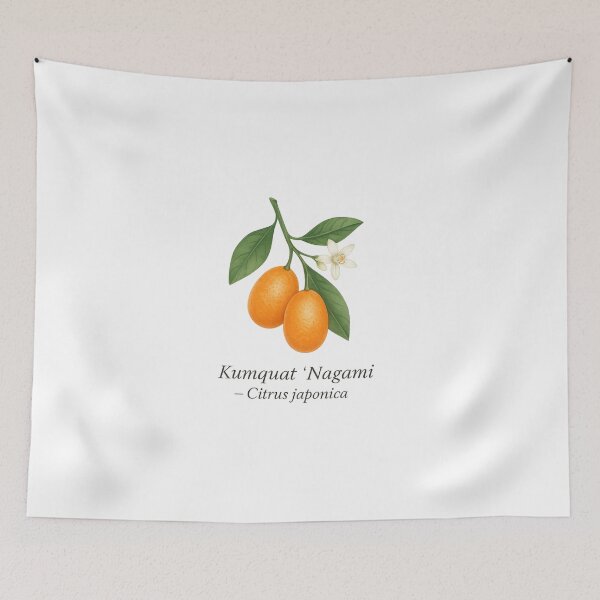 Item preview, Kumquat ‘Nagami’ – Small Aromatic Citrus Variety designed and sold by BloomKind.