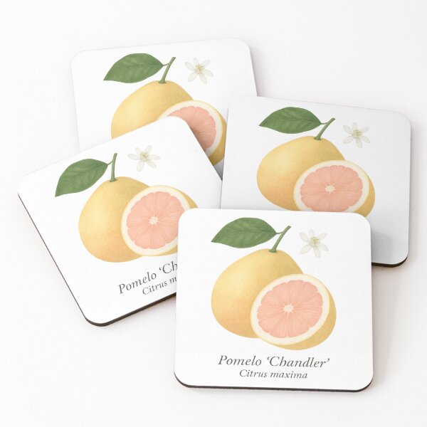 Item preview, Pomelo ‘Chandler’ – Gigante cítrico rosa dulce designed and sold by BloomKind.