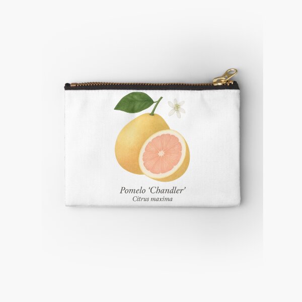 Item preview, Pomelo ‘Chandler’ – Sweet Pink Citrus Giant designed and sold by BloomKind.