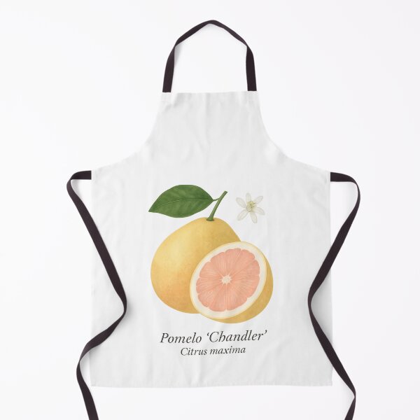Item preview, Pomelo ‘Chandler’ – Gigante cítrico rosa dulce designed and sold by BloomKind.