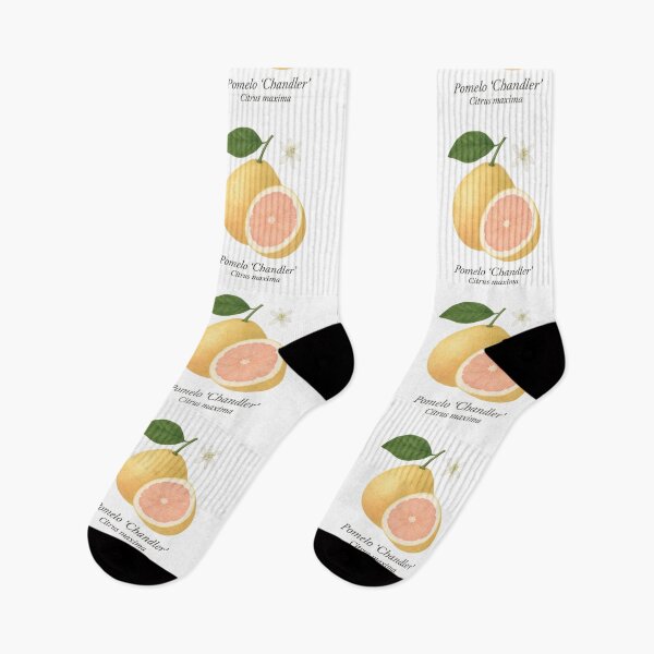 Item preview, Pomelo ‘Chandler’ – Sweet Pink Citrus Giant designed and sold by BloomKind.