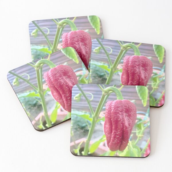 Item preview, Dried Red Pepper on Plant designed and sold by Insert Clever Shop Name .