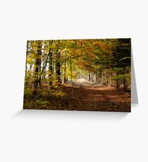 Path through autumn forest Greeting Card