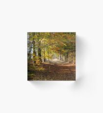 Path through autumn forest Acrylic Block