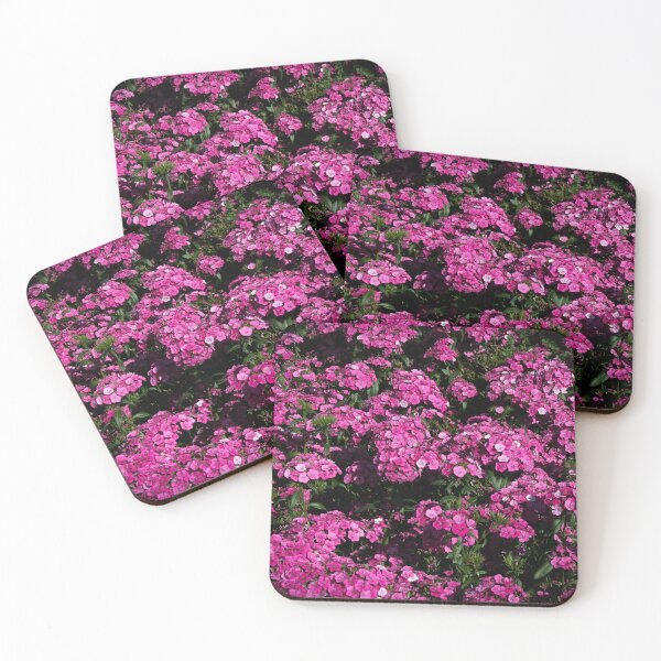 Item preview, Vibrant Pink Dianthus Flowers in Bloom designed and sold by CPhotographs.