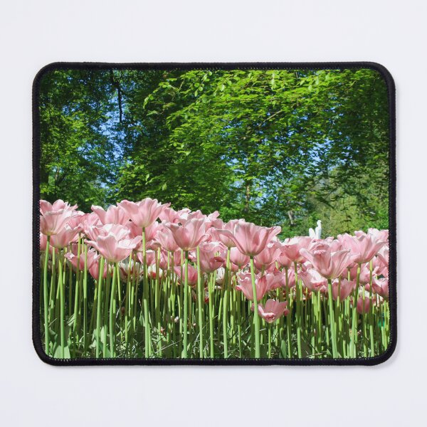 Item preview, Tall Pink Tulips Against Green Forst designed and sold by CPhotographs.