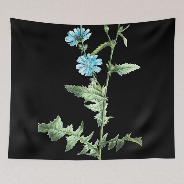 Item preview, Chicory designed and sold by AngyDesigns49.