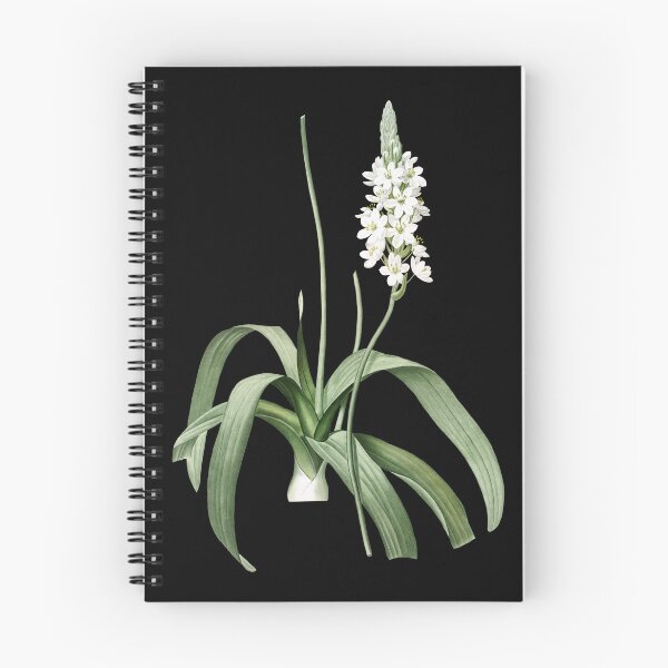 Item preview, Narbonne star-of-Bethlehem designed and sold by AngyDesigns49.