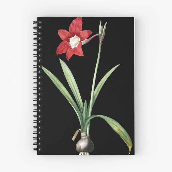 Item preview, Hippeastrum designed and sold by AngyDesigns49.