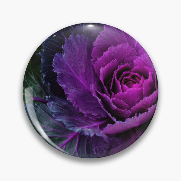 Item preview, Vibrant ornamental cabbage designed and sold by anytka.