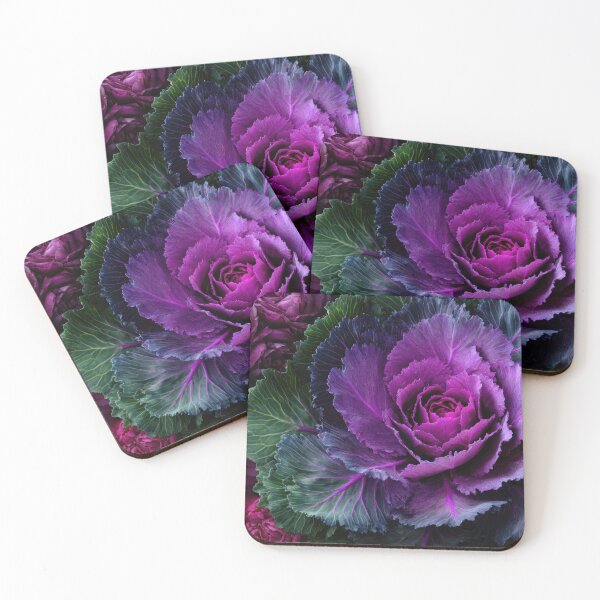Item preview, Vibrant ornamental cabbage designed and sold by anytka.