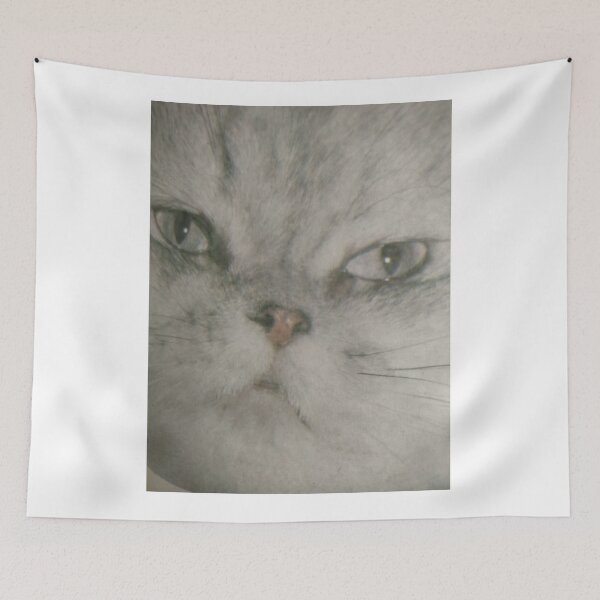 Item preview, Persian chinchilla. designed and sold by Valgasnews011.