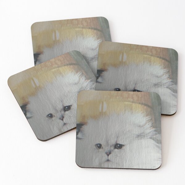 Item preview, Persian chinchilla. designed and sold by Valgasnews011.
