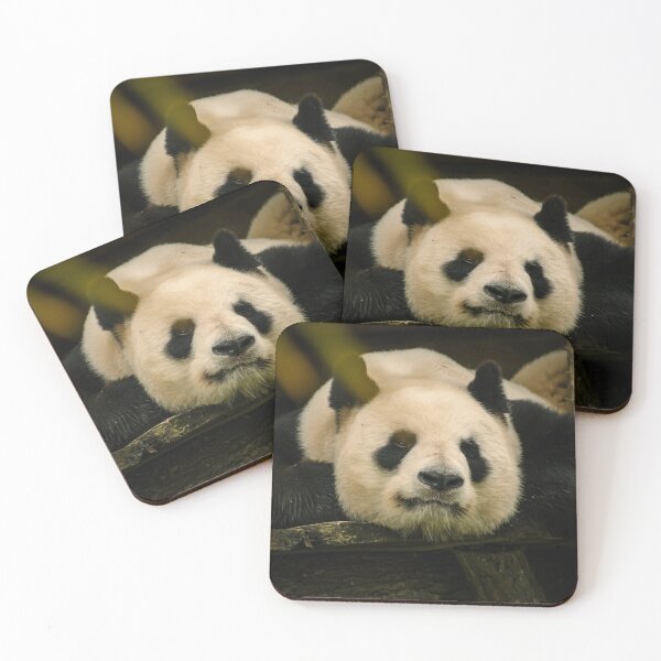 Item preview, Peaceful Giant Panda Resting on a Log — Zen and Nature Wildlife Photography designed and sold by Anyhnto.