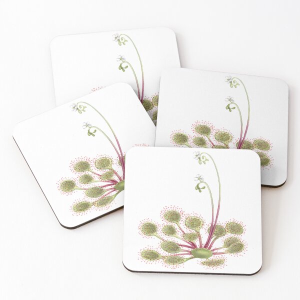 Item preview, Round-leaved Sundew designed and sold by JadaFitch.