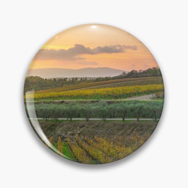 Item preview, Pine and vineyards, autumn landscape in Chianti, Italy designed and sold by Stefano Orazzini.