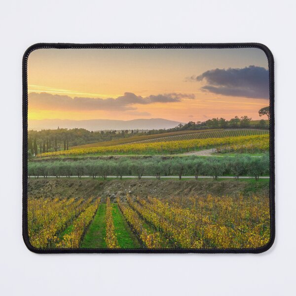 Item preview, Pine and vineyards, autumn landscape in Chianti, Italy designed and sold by Stefano Orazzini.