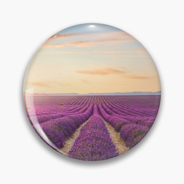 Item preview, Blooming lavender field at sunset in Valensole. Provence, France designed and sold by Stefano Orazzini.