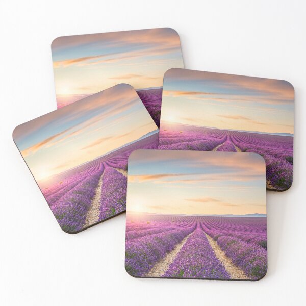 Item preview, Blooming lavender field at sunset in Valensole. Provence, France designed and sold by Stefano Orazzini.