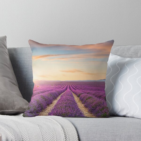 Item preview, Blooming lavender field at sunset in Valensole. Provence, France designed and sold by Stefano Orazzini.