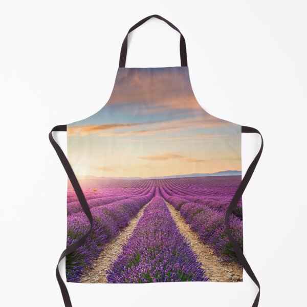 Item preview, Blooming lavender field at sunset in Valensole. Provence, France designed and sold by Stefano Orazzini.