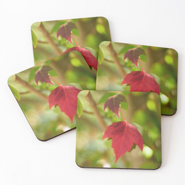 Item preview, Maple designed and sold by MischievousLane.
