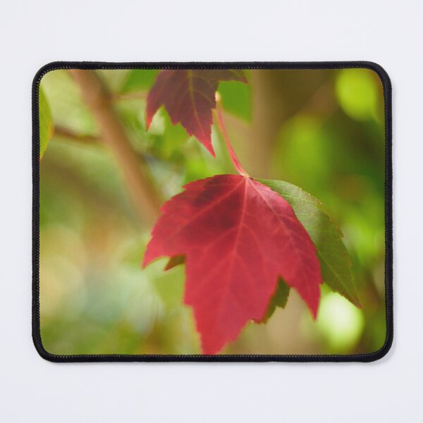 Item preview, Maple designed and sold by MischievousLane.
