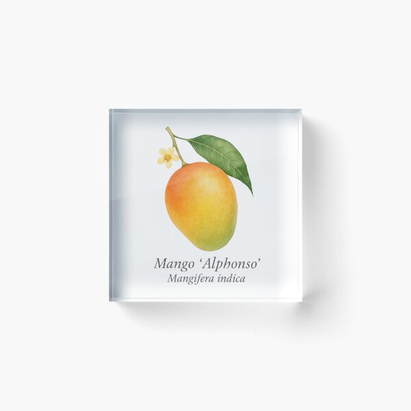 Item preview, Mango ‘Alphonso’ – Golden Sweet Tropical Variety designed and sold by BloomKind.