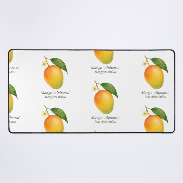 Item preview, Mango ‘Alphonso’ – Golden Sweet Tropical Variety designed and sold by BloomKind.