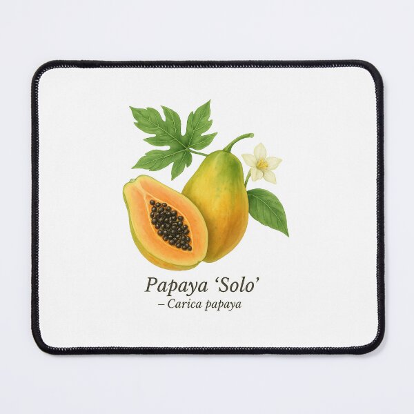 Item preview, Papaya ‘Solo’ – Tropical Orange Fruit Illustration designed and sold by BloomKind.