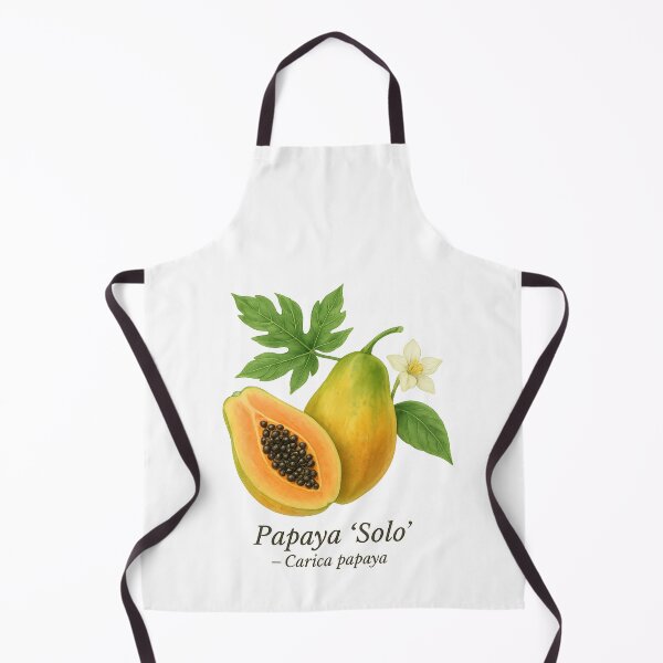 Item preview, Papaya ‘Solo’ – Tropical Orange Fruit Illustration designed and sold by BloomKind.