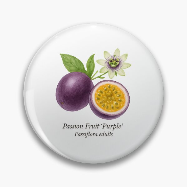 Item preview, Passion Fruit ‘Purple’ – Exotic Aromatic Botanical Illustration designed and sold by BloomKind.