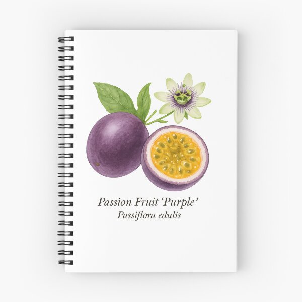 Item preview, Passion Fruit ‘Purple’ – Exotic Aromatic Botanical Illustration designed and sold by BloomKind.