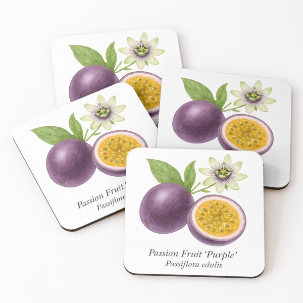 Item preview, Passion Fruit ‘Purple’ – Exotic Aromatic Botanical Illustration designed and sold by BloomKind.