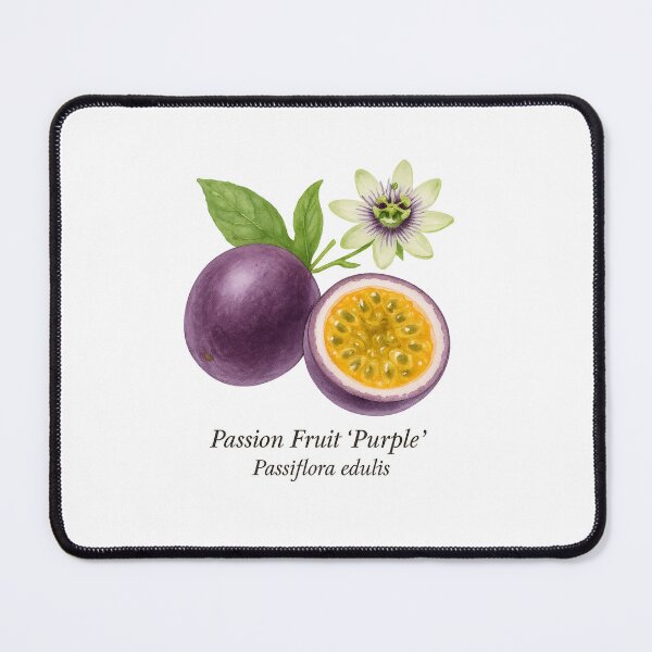 Item preview, Passion Fruit ‘Purple’ – Exotic Aromatic Botanical Illustration designed and sold by BloomKind.