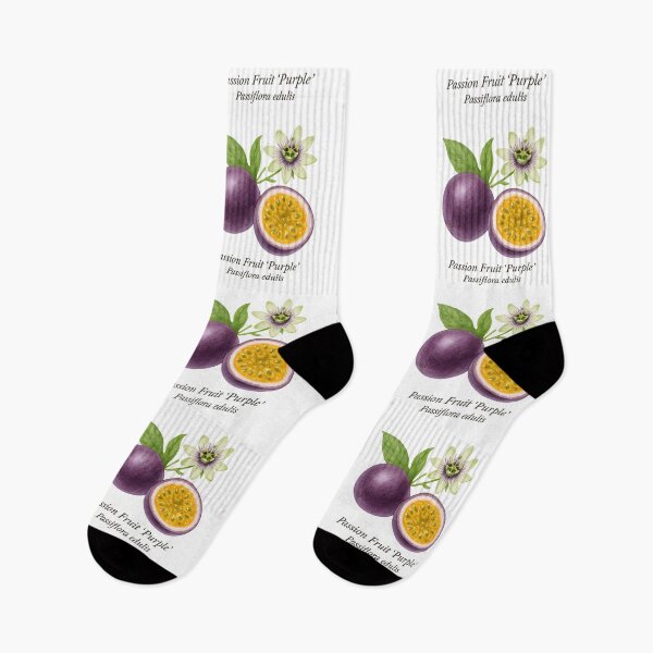 Item preview, Passion Fruit ‘Purple’ – Exotic Aromatic Botanical Illustration designed and sold by BloomKind.