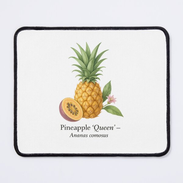 Item preview, Pineapple ‘Queen’ – Golden Tropical Fruit Illustration designed and sold by BloomKind.