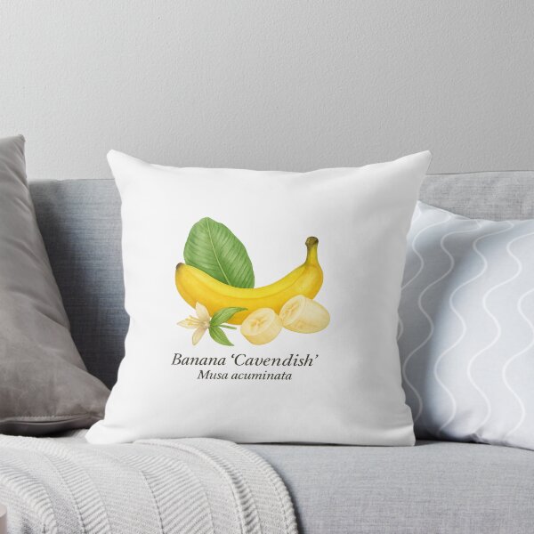 Item preview, Banana ‘Cavendish’ – Sweet Yellow Tropical Variety designed and sold by BloomKind.