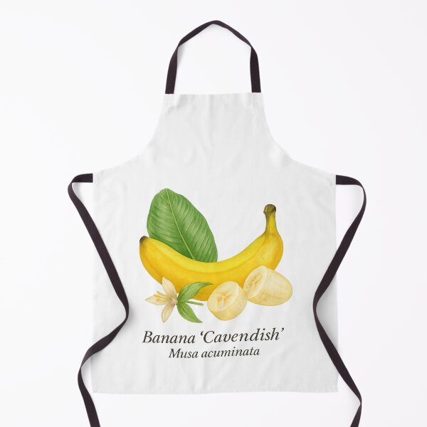 Artikelvorschau, Banane ‘Cavendish’ – Süße gelbe Tropensorte entworfen und verkauft von BloomKind.