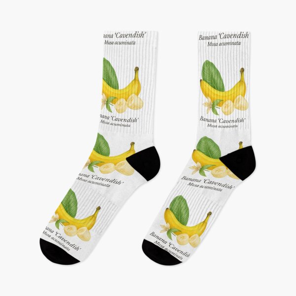Item preview, Banana ‘Cavendish’ – Sweet Yellow Tropical Variety designed and sold by BloomKind.