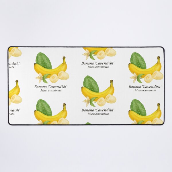 Item preview, Banana ‘Cavendish’ – Sweet Yellow Tropical Variety designed and sold by BloomKind.
