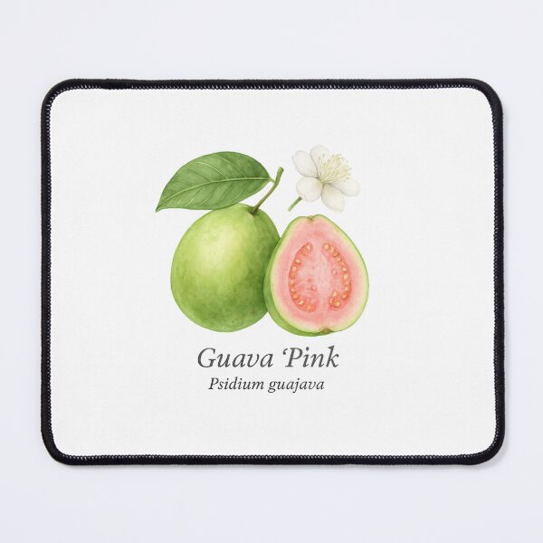 Item preview, Guava ‘Pink’ – Floral Tropical Botanical Illustration designed and sold by BloomKind.