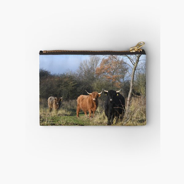 Artikelvorschau, Drei Hochlandrinder – neugieriger Blick auf der Weide / Swiss Artwork Photography entworfen und verkauft von Raphael Wolf.