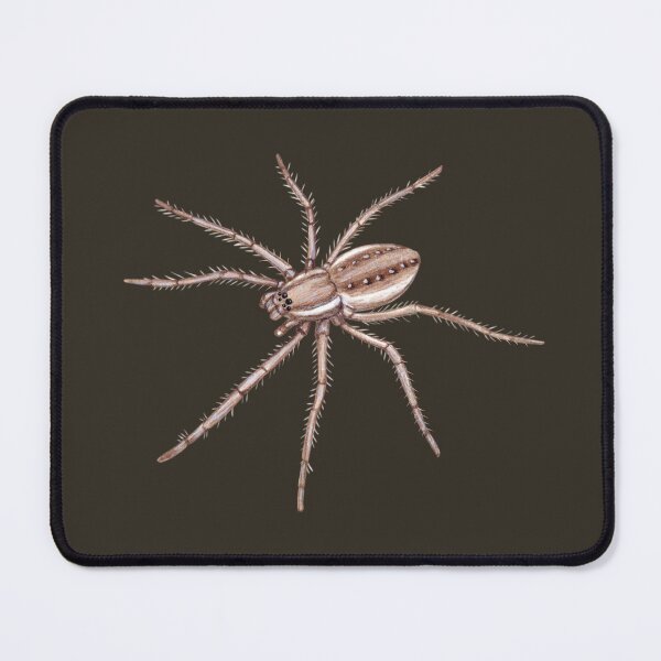 Item preview, Six-spotted Fishing Spider designed and sold by JadaFitch.