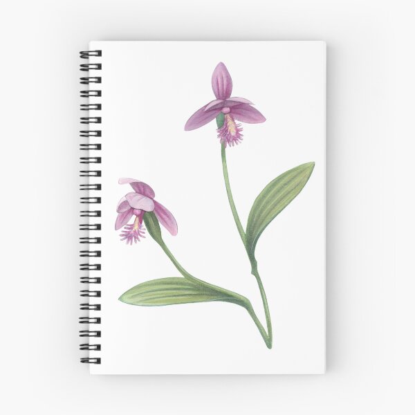 Item preview, Rose Pogonia designed and sold by JadaFitch.