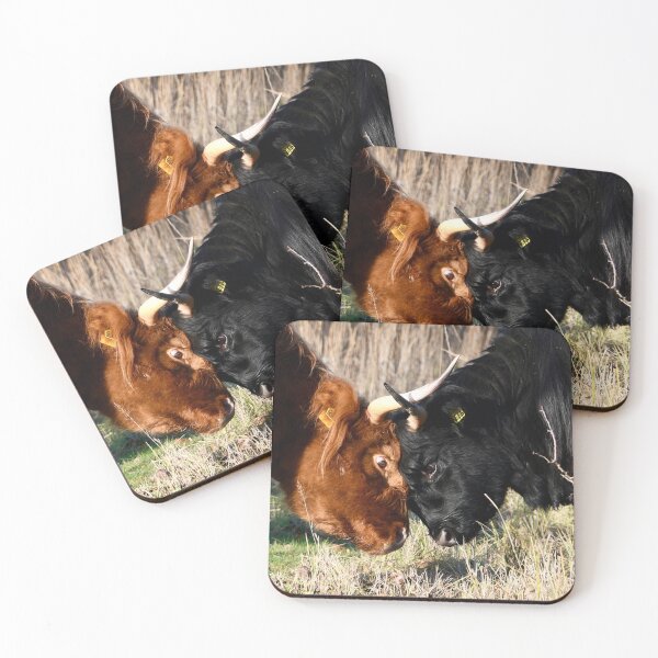 Item preview, Bullfighting – Head to Head / Swiss Artwork Photography designed and sold by Raphael Wolf.