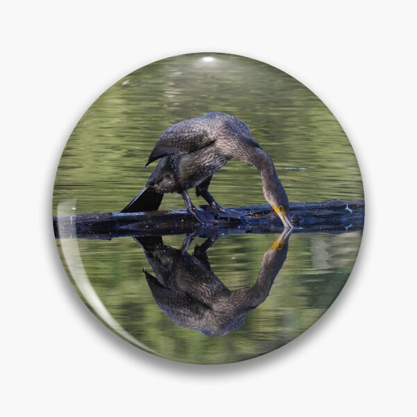 Item preview, Tasting the waters. Great cormorant designed and sold by Jouko Lehto Photography.